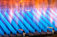 Nalderswood gas fired boilers